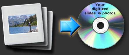 Slide Digitization